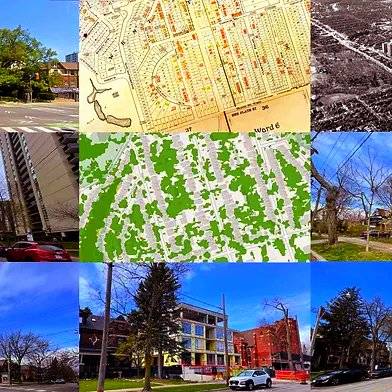 west_toronto_a_walk_along_high_park_avenue.jpg